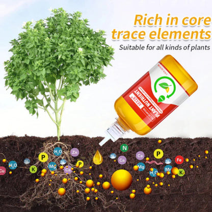 AEXZR®  HyperGrowth-Pro Plant Growth Hormone