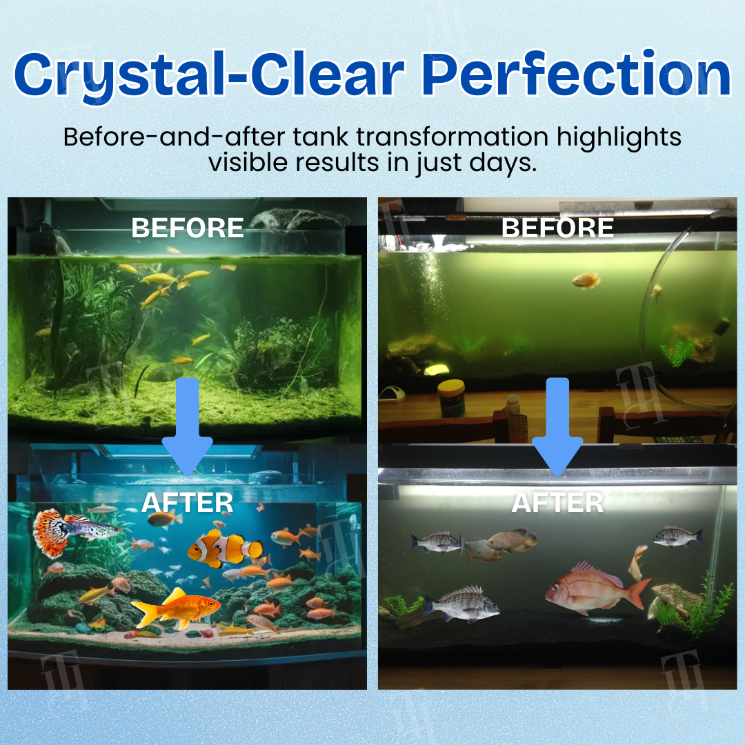 🏆 Official Store | 🌊 Achieve Crystal Clear Water & Thriving Fish 🌿 AEXZR® Aqua-Guardian Blend