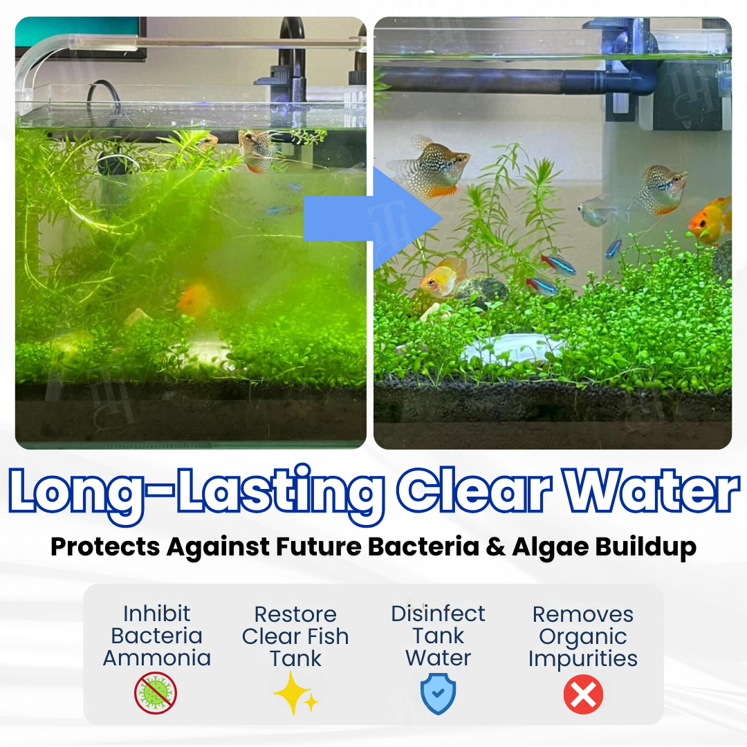 AEXZR® Max-Power Aquarium Purification Tablet