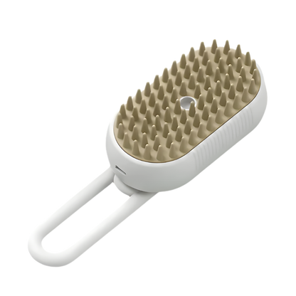 AEXZR® Steam Grooming Brush
