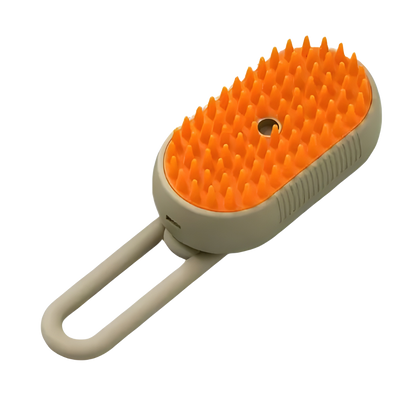 AEXZR® Steam Grooming Brush
