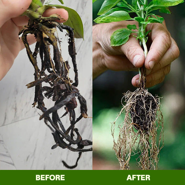 🏆Official Store | 🌺 All-in-one Balanced Nutrition🌺AEXZR® MagicBlooms Slow-Release Plant Fertilizer Spikes