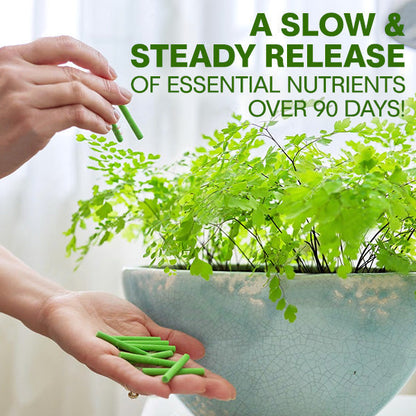 🏆Official Store | 🌺 All-in-one Balanced Nutrition🌺AEXZR® MagicBlooms Slow-Release Plant Fertilizer Spikes
