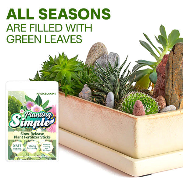 🏆Official Store | 🌺 All-in-one Balanced Nutrition🌺AEXZR® MagicBlooms Slow-Release Plant Fertilizer Spikes